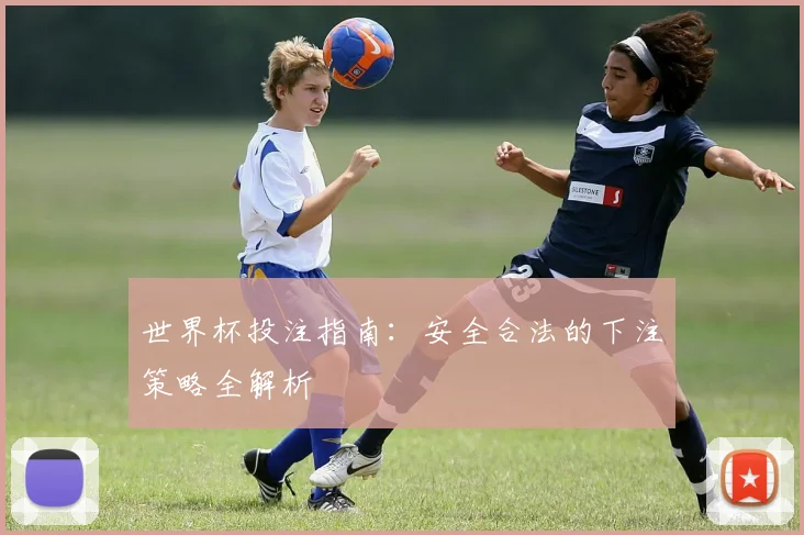 世界杯投注指南：安全合法的下注策略全解析