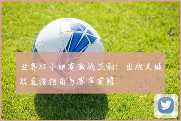 世界杯小组赛激战正酣：出线关键战直播指南与赛事前瞻